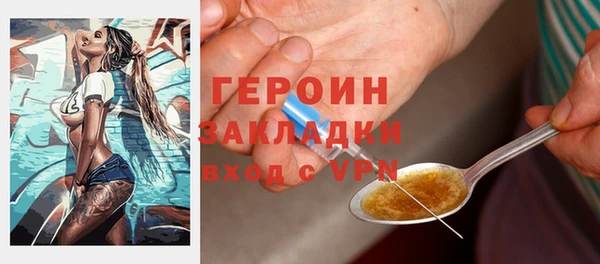 гидра Елабуга