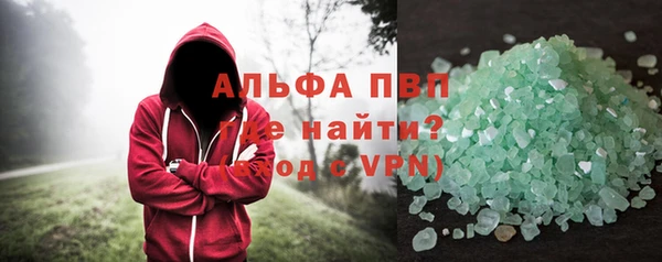 гидра Елабуга