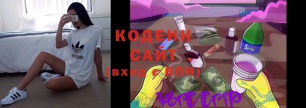 твердый Ельня