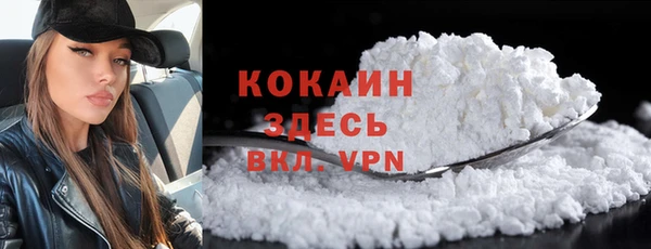 гидра Елабуга