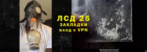 гидра Елабуга