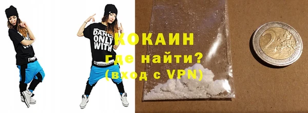 гидра Елабуга