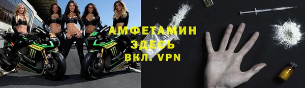 гидра Елабуга