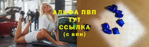 гидра Елабуга