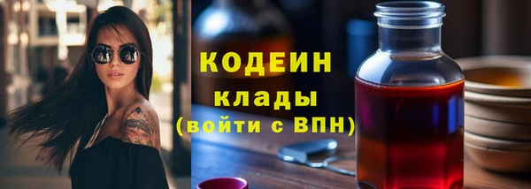 гидра Елабуга