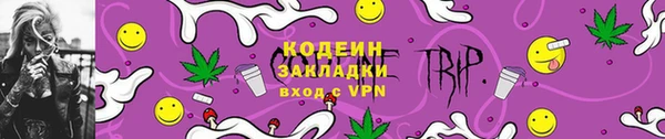 гидра Елабуга