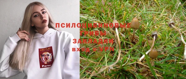 твердый Ельня