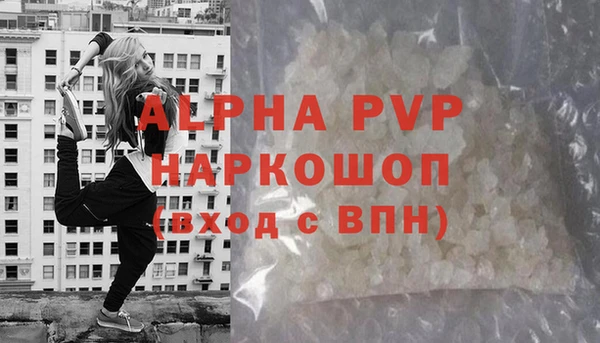 гидра Елабуга