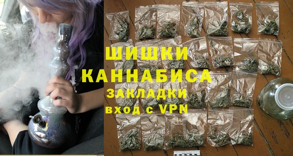 гидра Елабуга