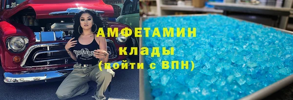 твердый Ельня
