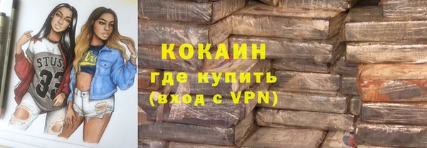 гидра Елабуга