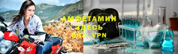 гидра Елабуга