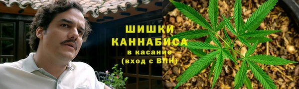 твердый Ельня