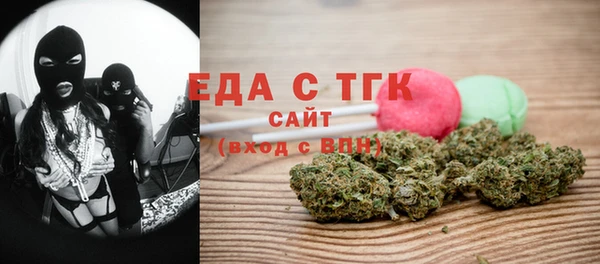 гидра Елабуга