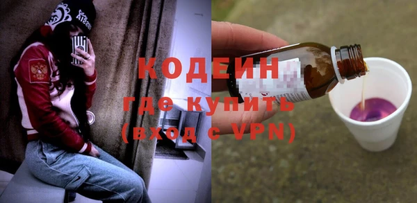 твердый Ельня