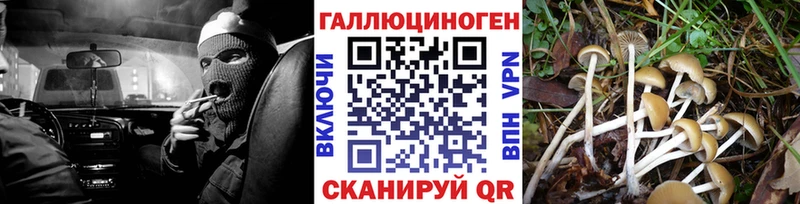Купить закладки  Кировград  Галлюциногенные грибы Psilocybine cubensis 